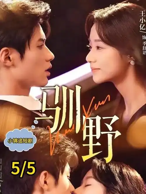 热播电视剧全集深蓝档案全集在线观看